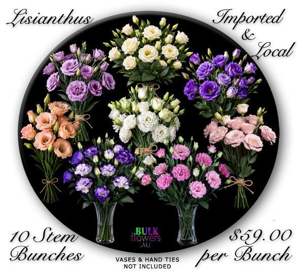 BULK FLOWERS LISIANTHUS